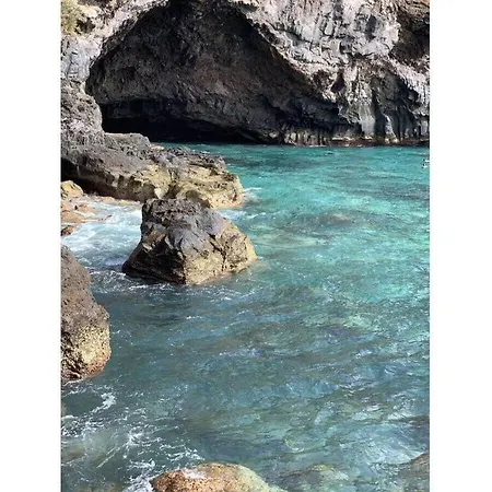 Sunshine Feeling Comfortable * Santa Ursula (Tenerife)